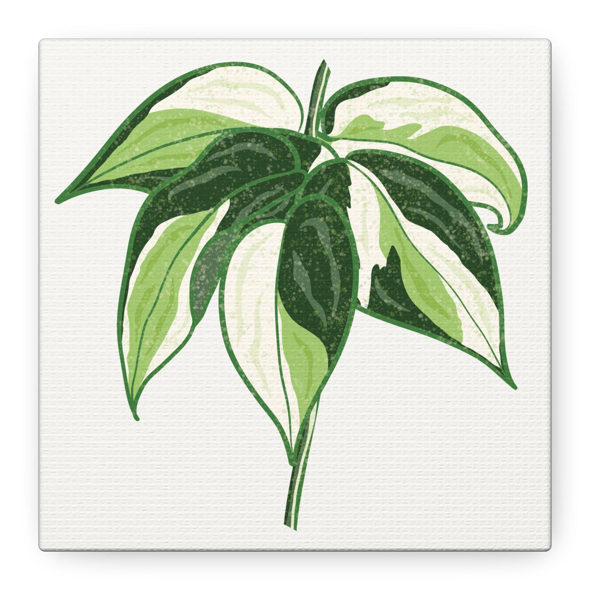 Philodendron Cream Splash Canvas Print – Botanical Wall Art, view 15