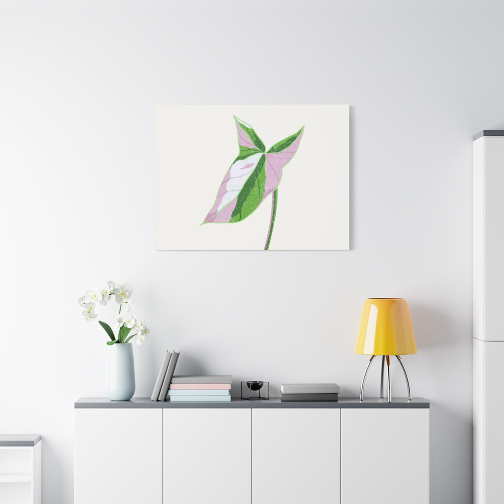 Syngonium Tricolor Canvas Print – Botanical Wall Art
