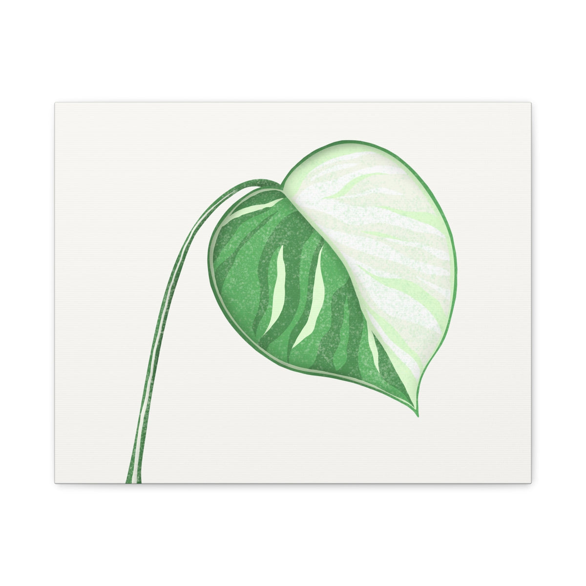 Monstera Albo Canvas Print – Botanical Wall Art, view 3