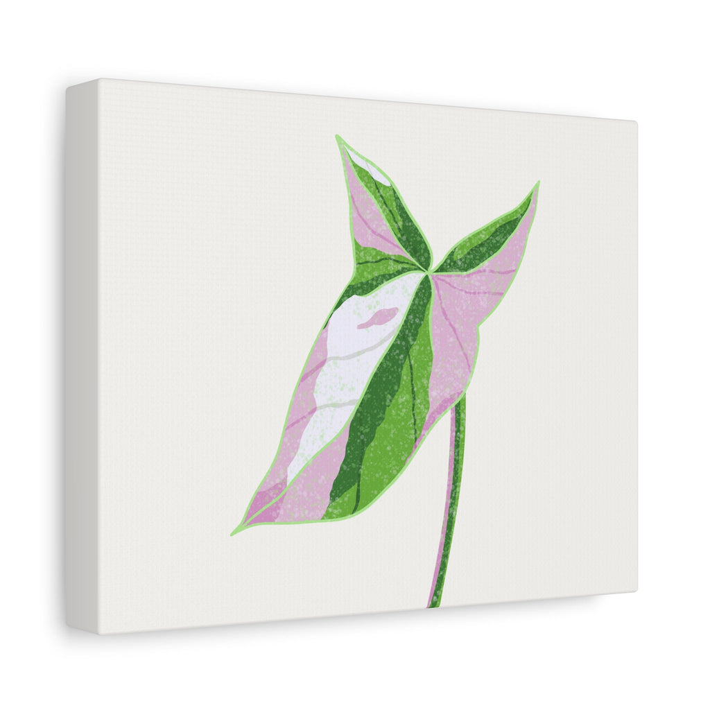 Syngonium Tricolor Canvas Print – Botanical Wall Art