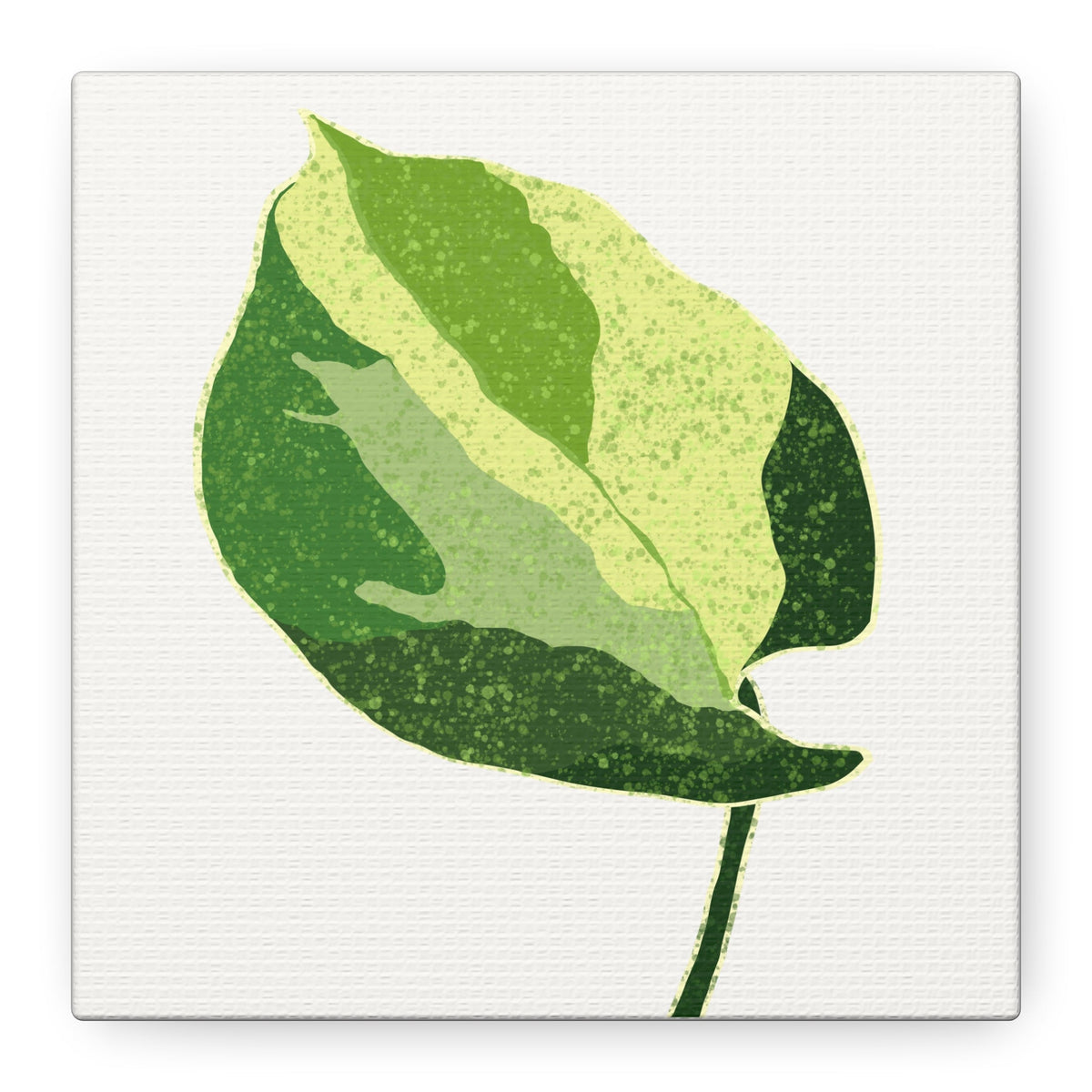 Manjula Pothos Illustrated Canvas Print – Botanical Wall Art, view 15