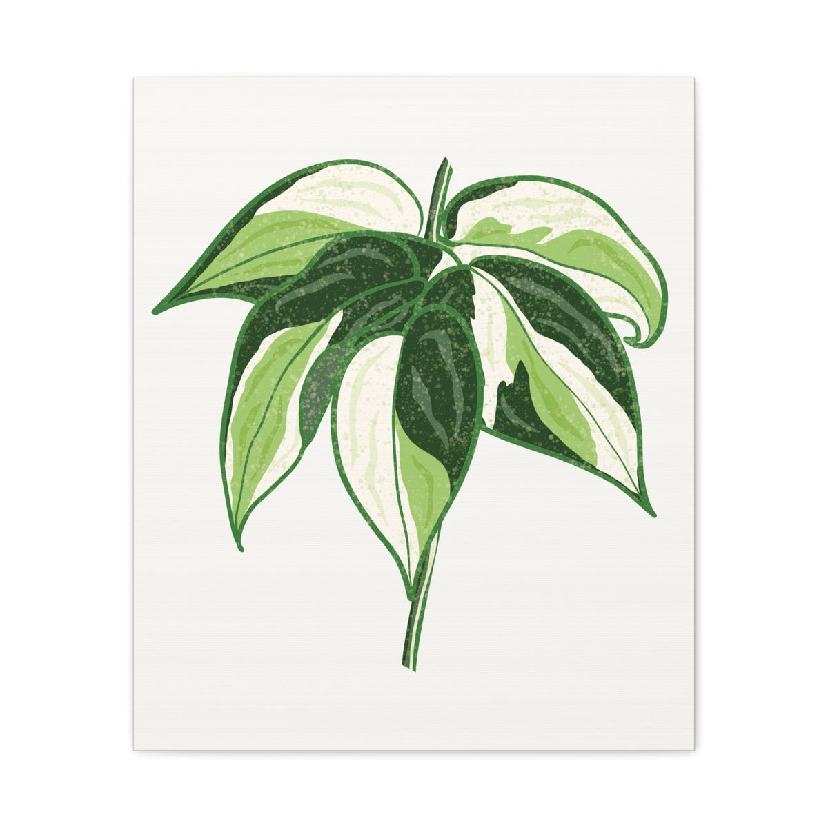 Philodendron Cream Splash Canvas Print – Botanical Wall Art, view 11