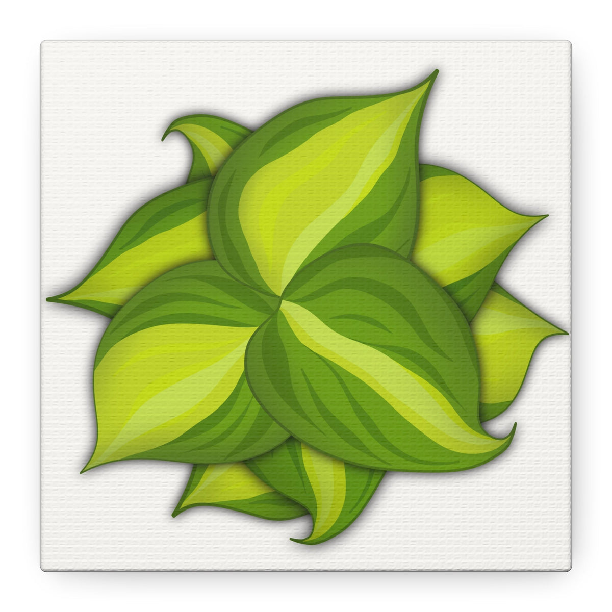 Philodendron Brasil Canvas Print – Botanical Wall Art, view 15