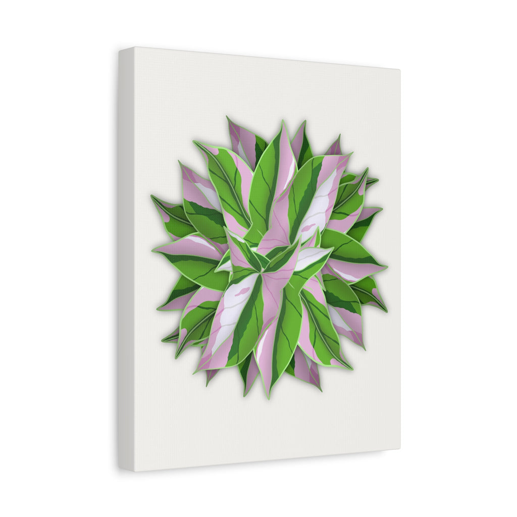 Syngonium Tricolor Pattern Canvas Print – Botanical Wall Art