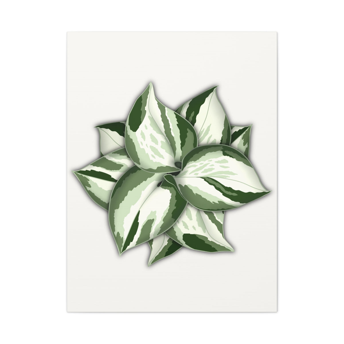 Manjula Pothos Canvas Print – Botanical Wall Art, view 13