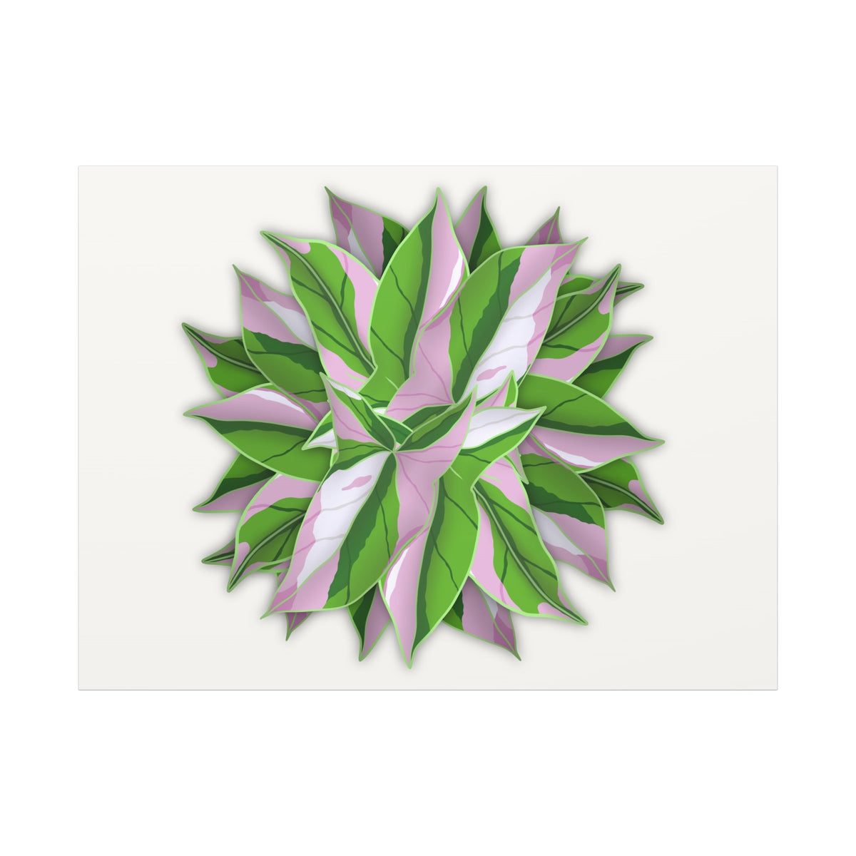 Syngonium Tricolor Pattern Canvas Print – Botanical Wall Art, view 7
