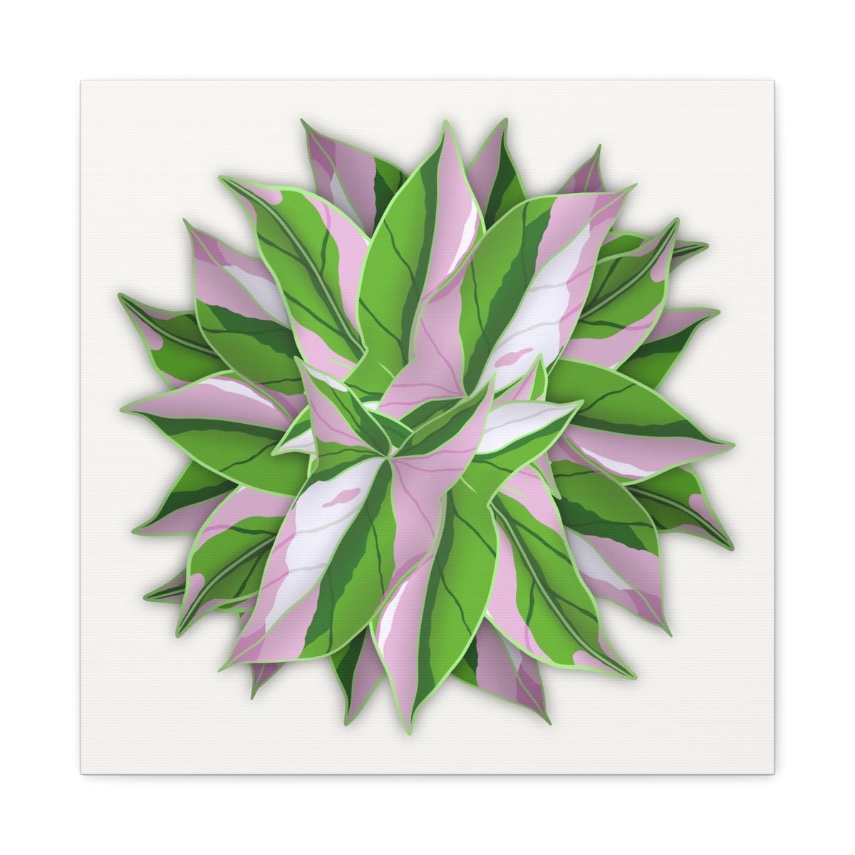 Syngonium Tricolor Pattern Canvas Print – Botanical Wall Art