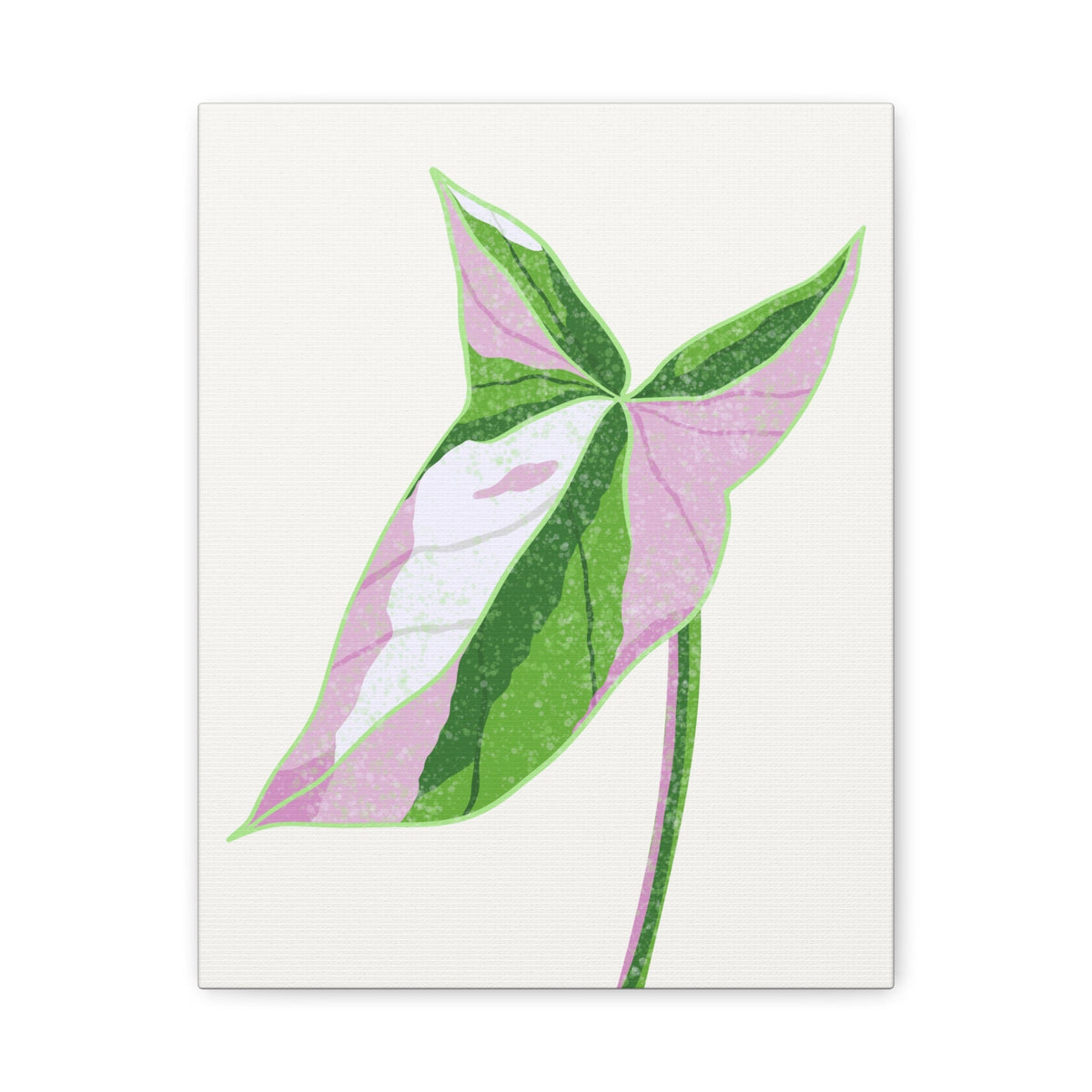 Syngonium Tricolor Canvas Print – Botanical Wall Art, view 9