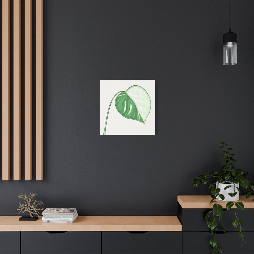 Monstera Albo Canvas Print – Botanical Wall Art