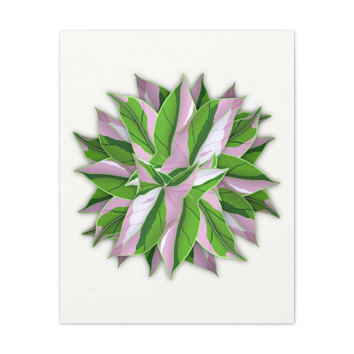 Syngonium Tricolor Pattern Canvas Print – Botanical Wall Art, view 12
