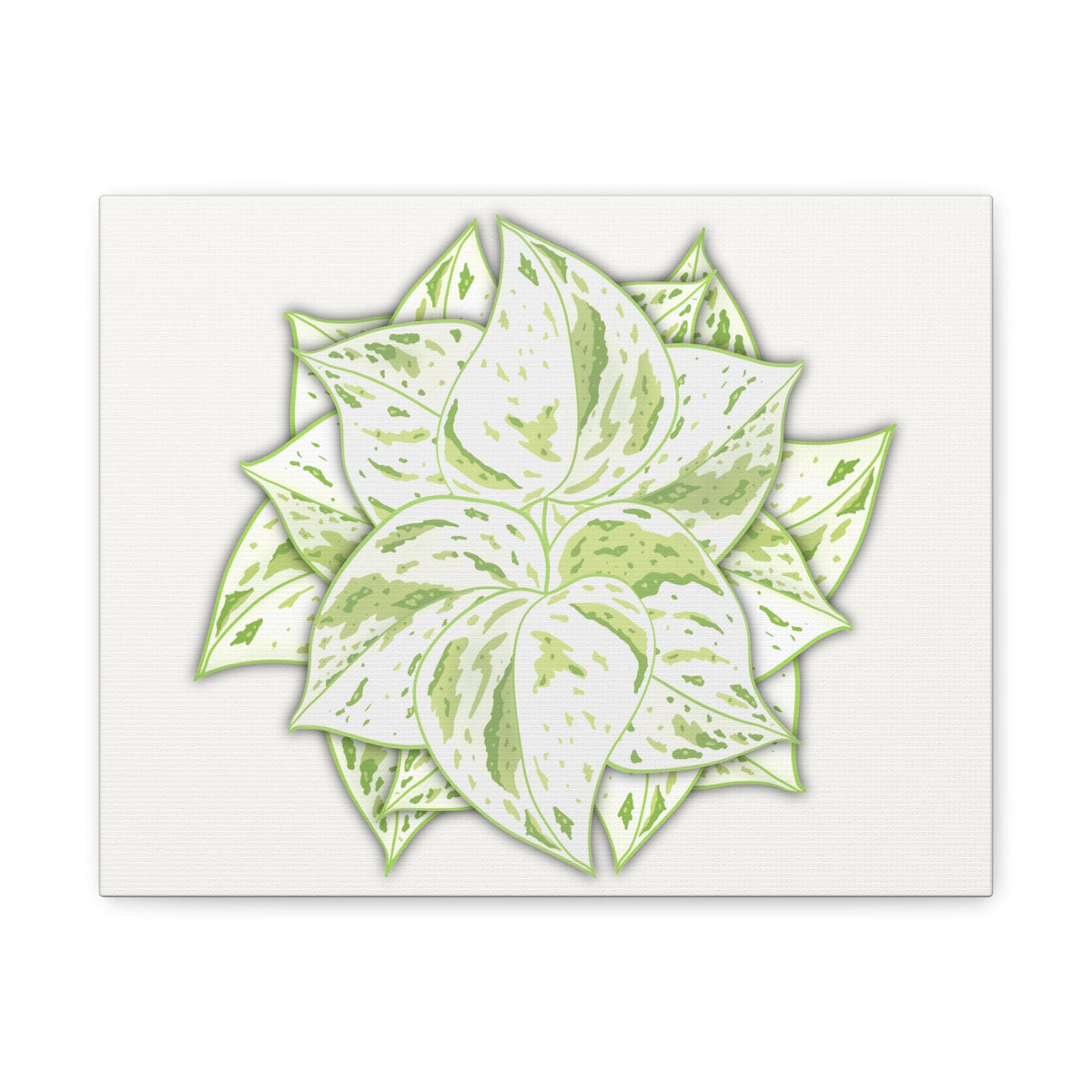 Snow Queen Pothos Canvas Print – Botanical Wall Art, view 2