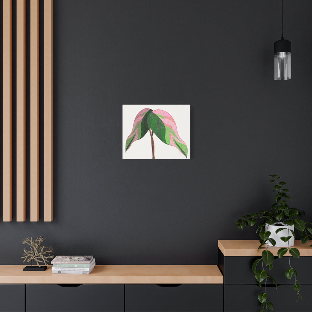 Pink Princess Philodendron Canvas Print – Botanical Wall Art