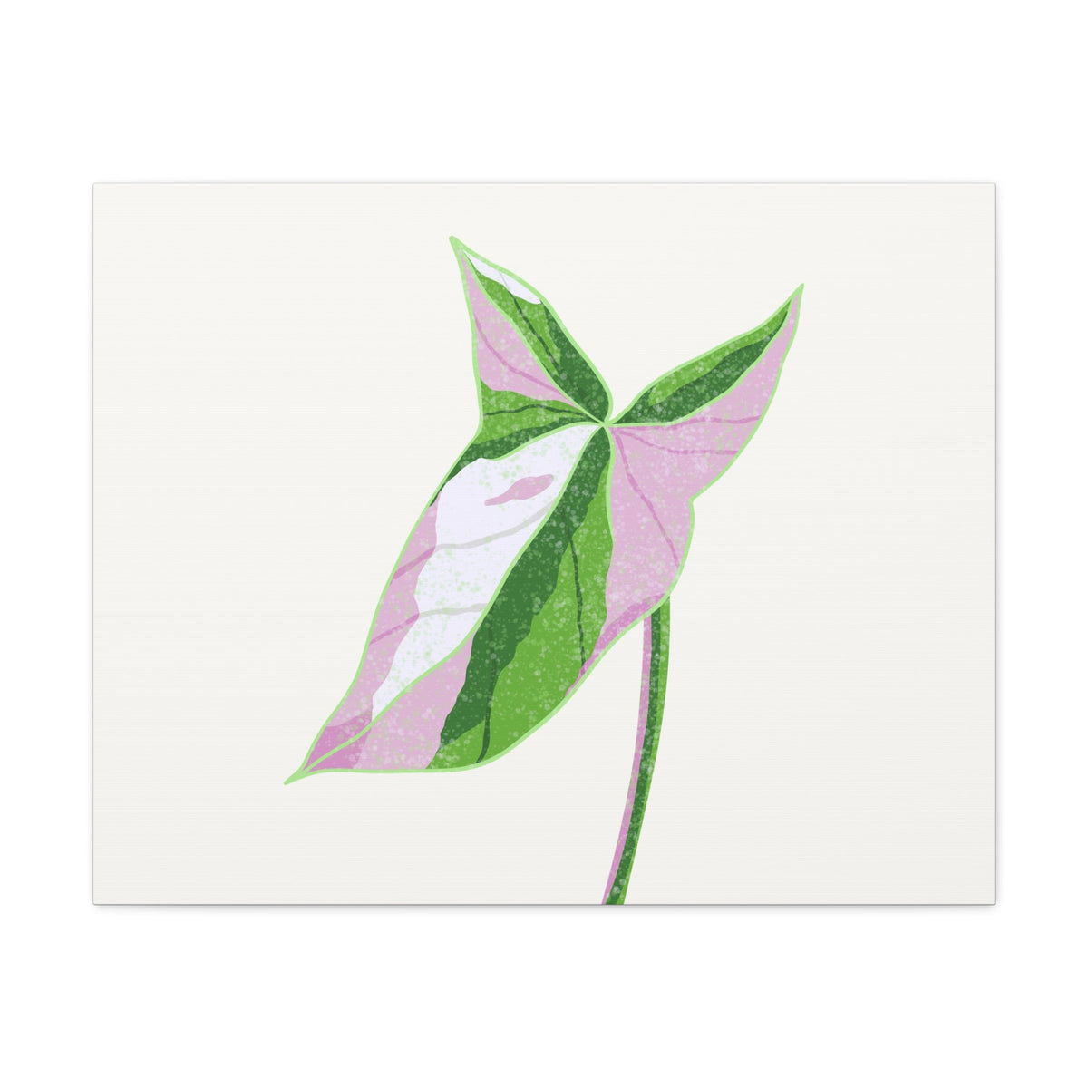 Syngonium Tricolor Canvas Print – Botanical Wall Art, view 5