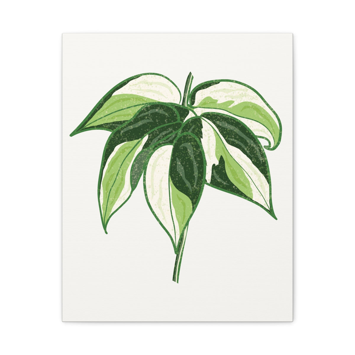 Philodendron Cream Splash Canvas Print – Botanical Wall Art, view 10