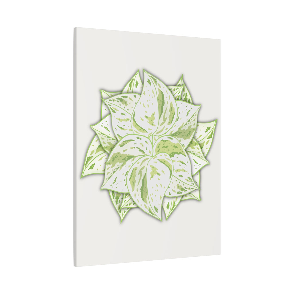 Snow Queen Pothos Canvas Print – Botanical Wall Art