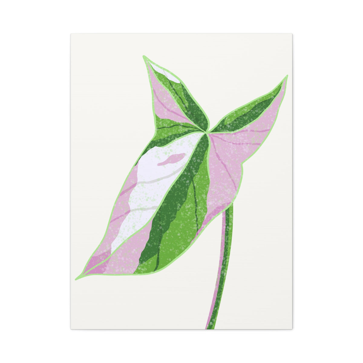 Syngonium Tricolor Canvas Print – Botanical Wall Art, view 13