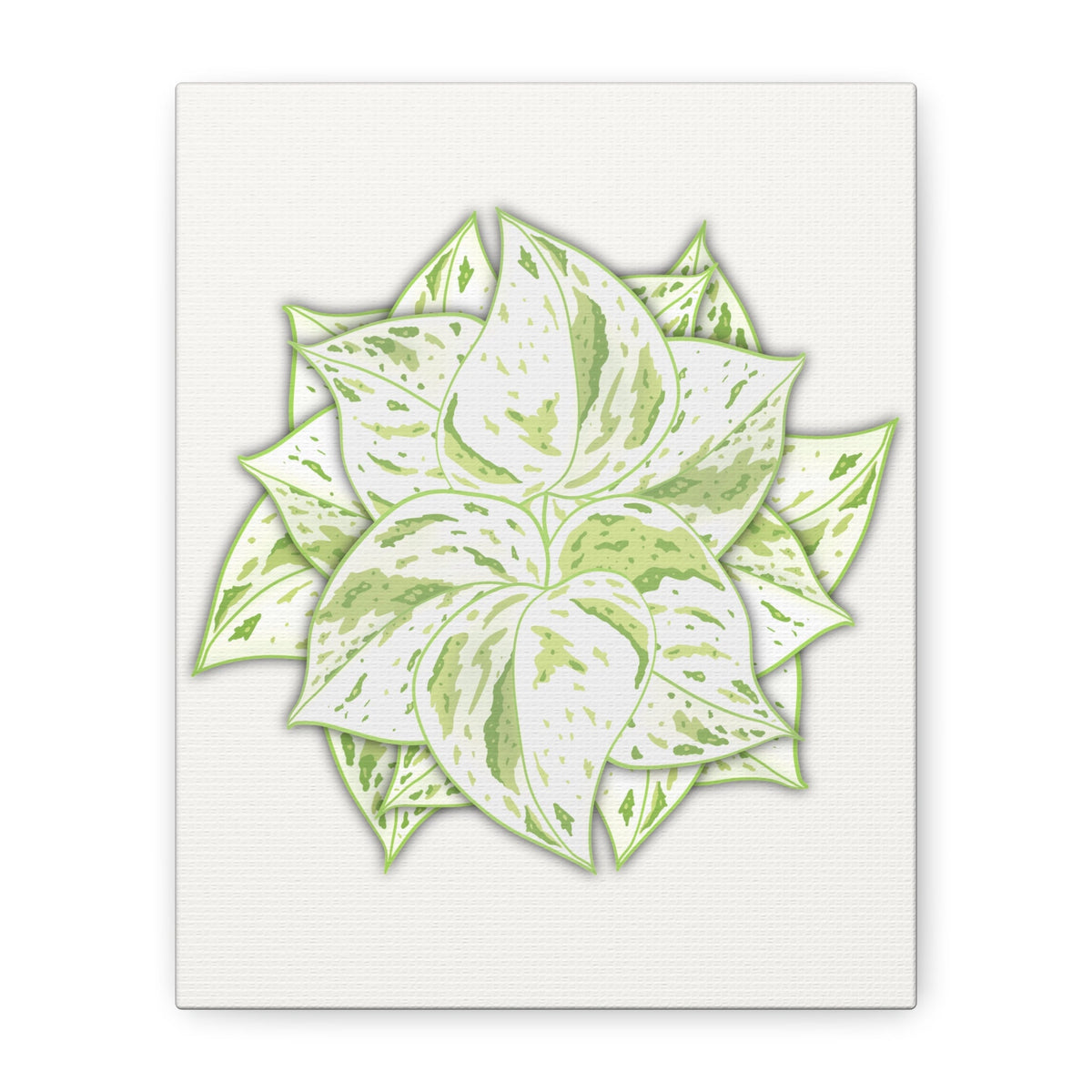 Snow Queen Pothos Canvas Print – Botanical Wall Art, view 8