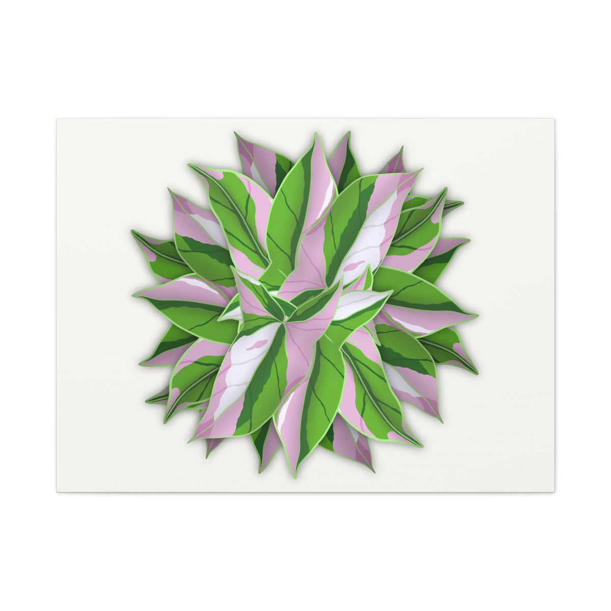 Syngonium Tricolor Pattern Canvas Print – Botanical Wall Art, view 6