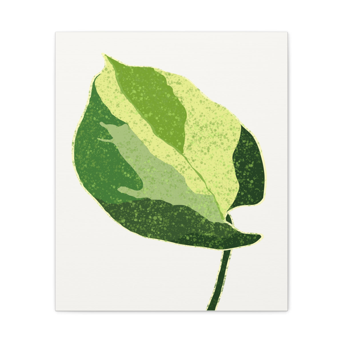 Manjula Pothos Illustrated Canvas Print – Botanical Wall Art, view 11