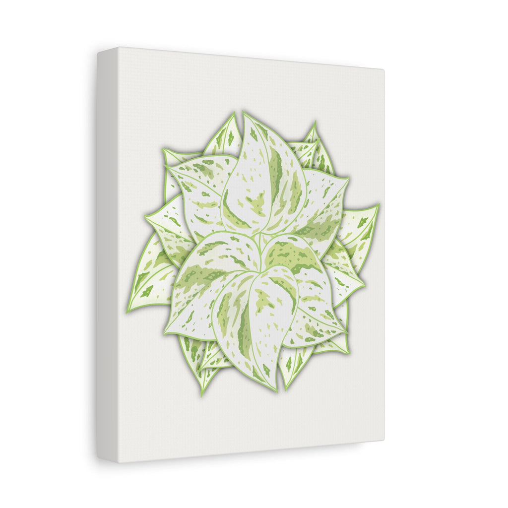 Snow Queen Pothos Canvas Print – Botanical Wall Art