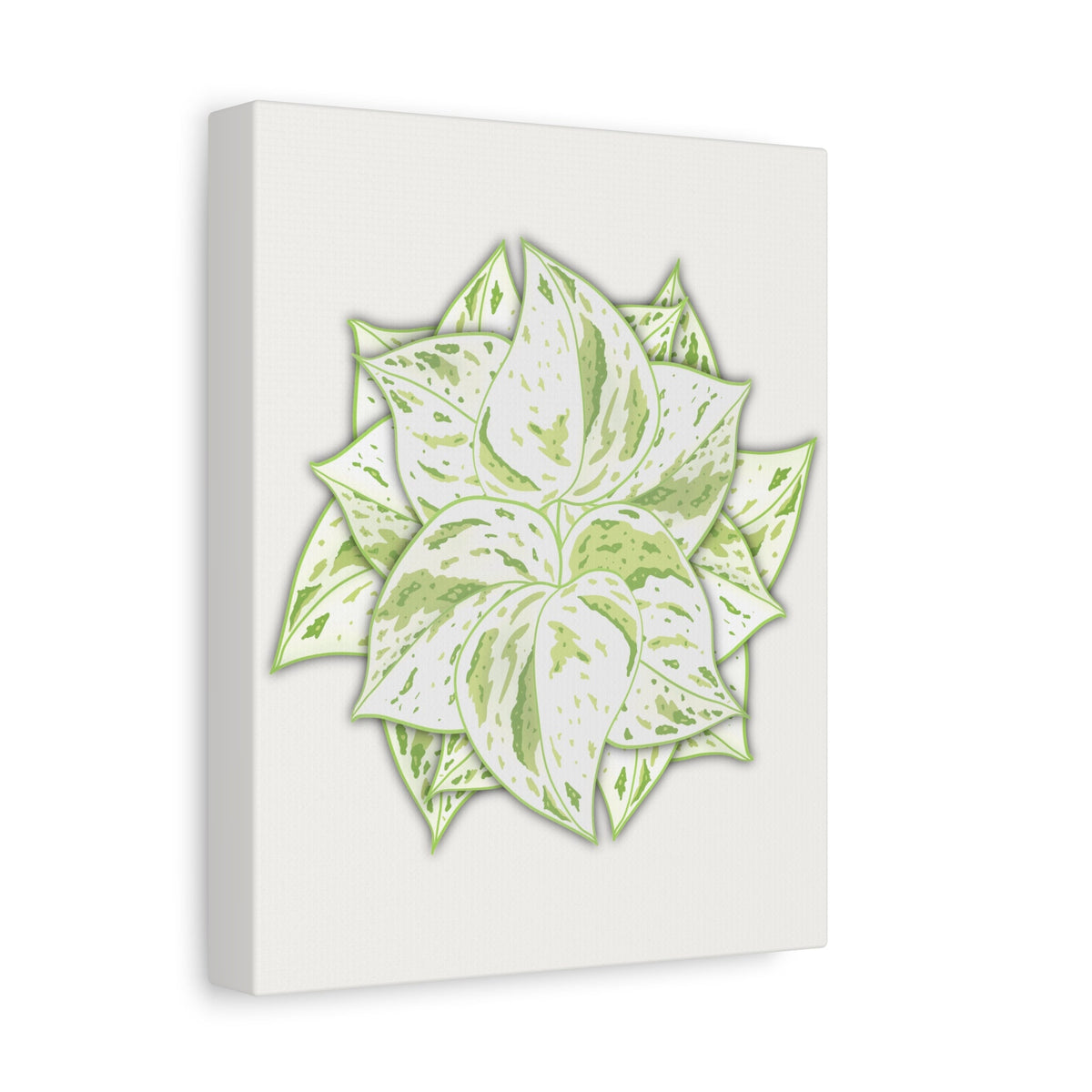 Snow Queen Pothos Canvas Print – Botanical Wall Art