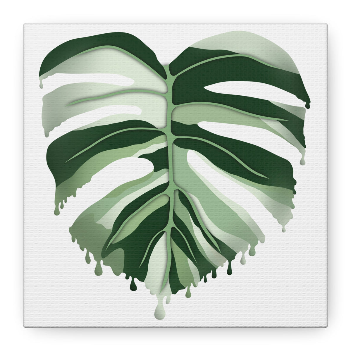 Melting Monstera Albo Canvas Print – Botanical Wall Art, view 15