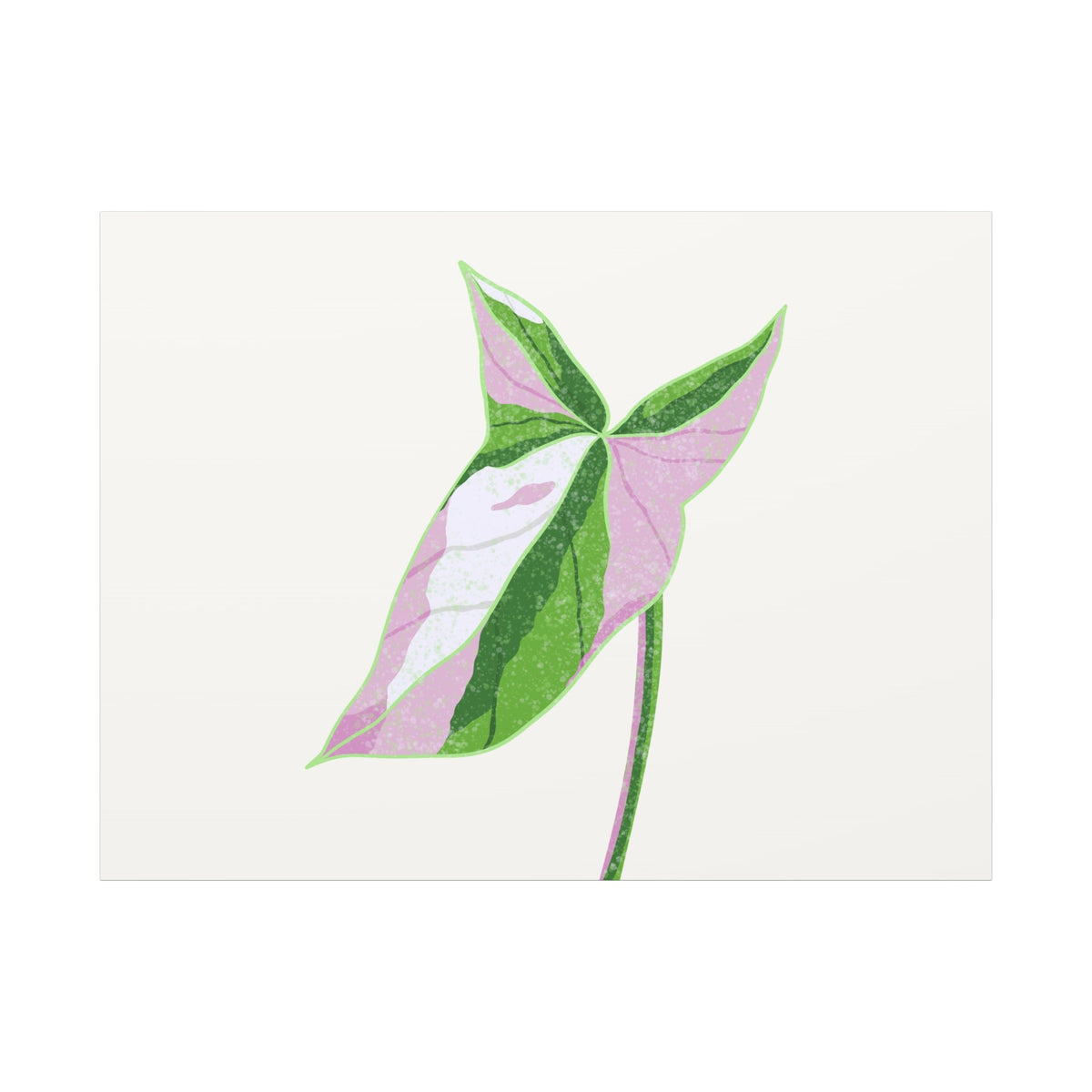 Syngonium Tricolor Canvas Print – Botanical Wall Art, view 7