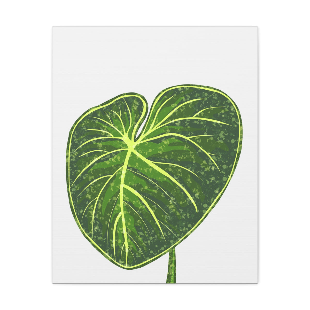 Philodendron Gloriosum Canvas Print – Botanical Wall Art, view 12