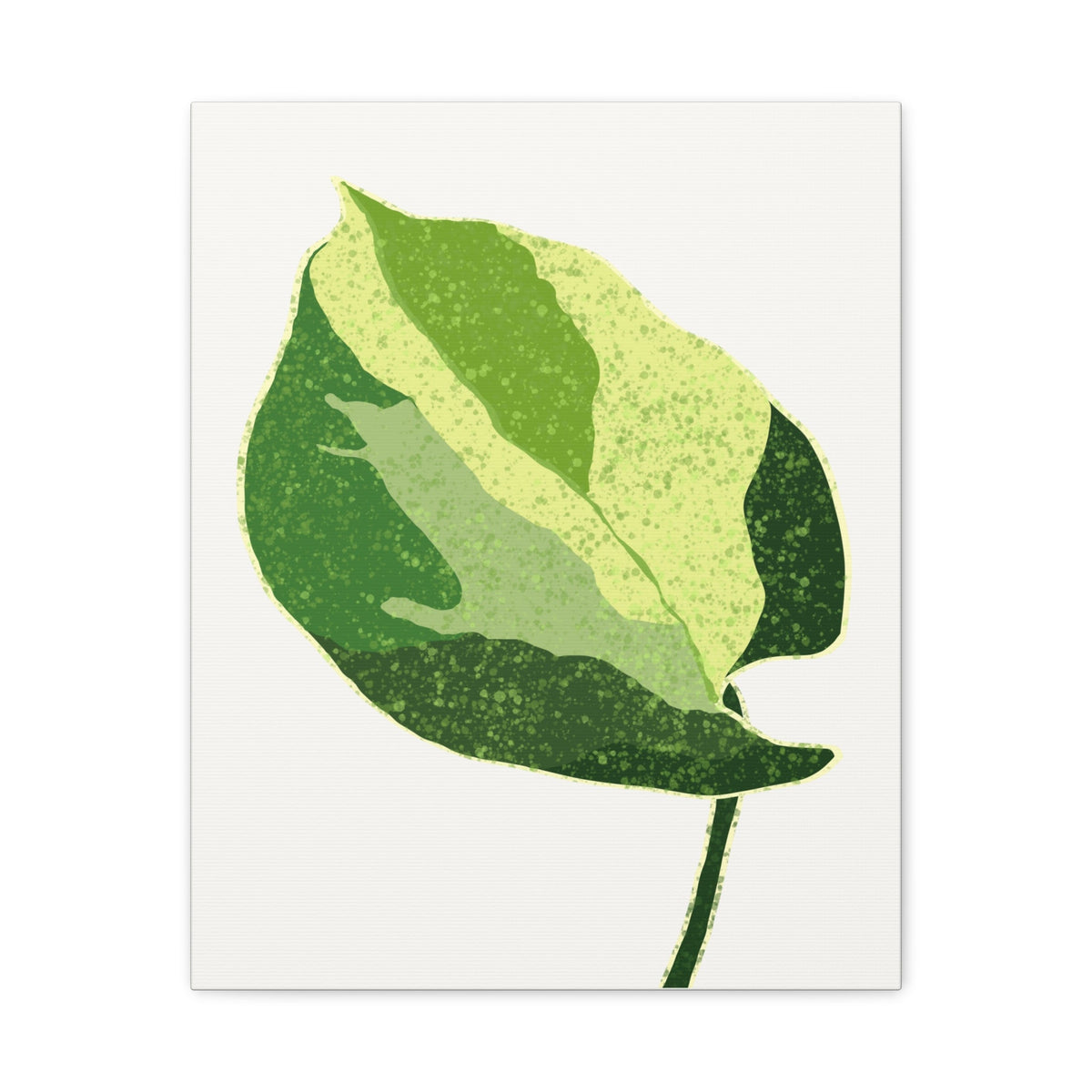 Manjula Pothos Illustrated Canvas Print – Botanical Wall Art, view 10