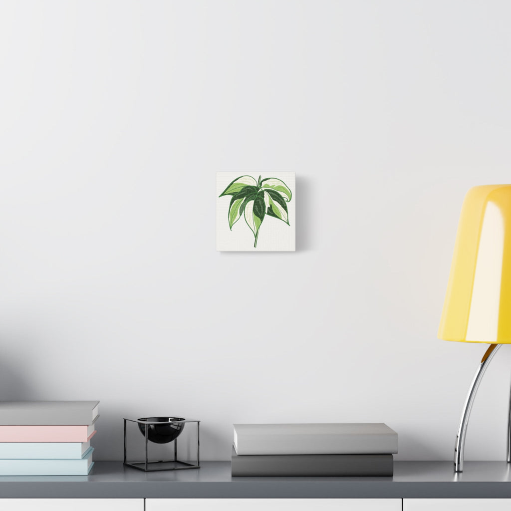 Philodendron Cream Splash Canvas Print – Botanical Wall Art