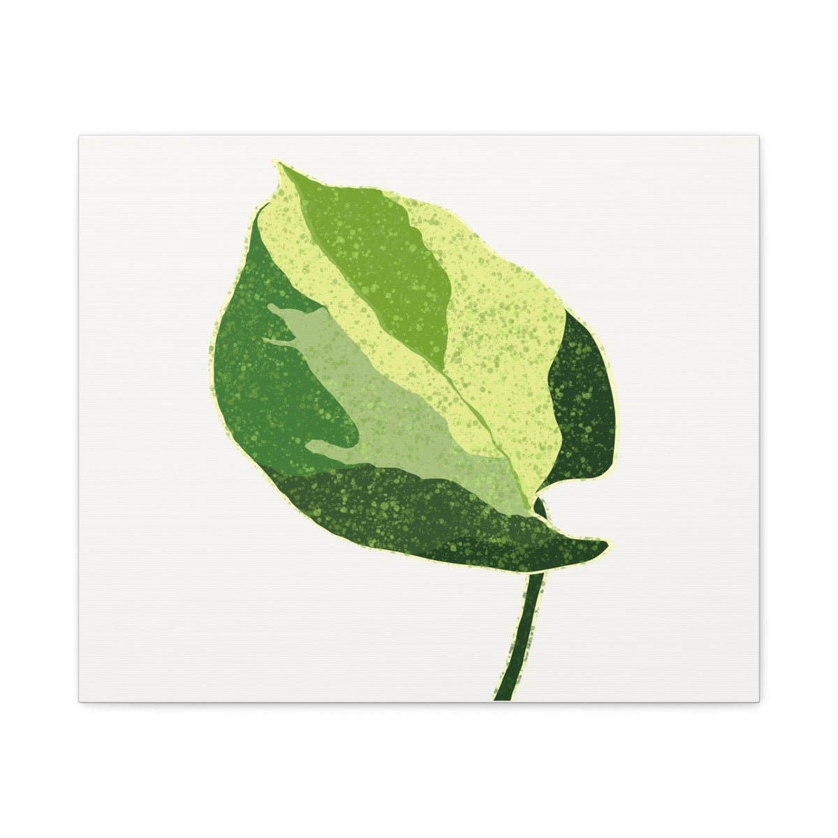Manjula Pothos Illustrated Canvas Print – Botanical Wall Art, view 4