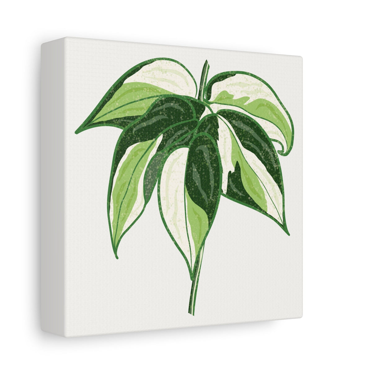 Philodendron Cream Splash Canvas Print – Botanical Wall Art