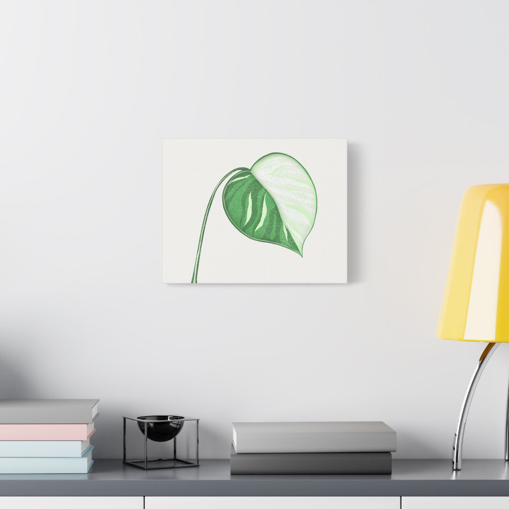 Monstera Albo Canvas Print – Botanical Wall Art
