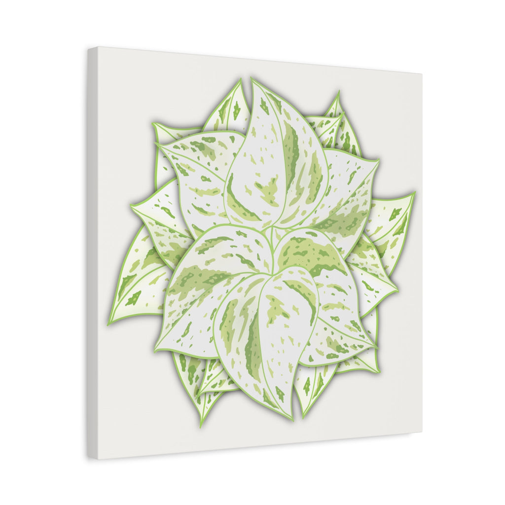 Snow Queen Pothos Canvas Print – Botanical Wall Art