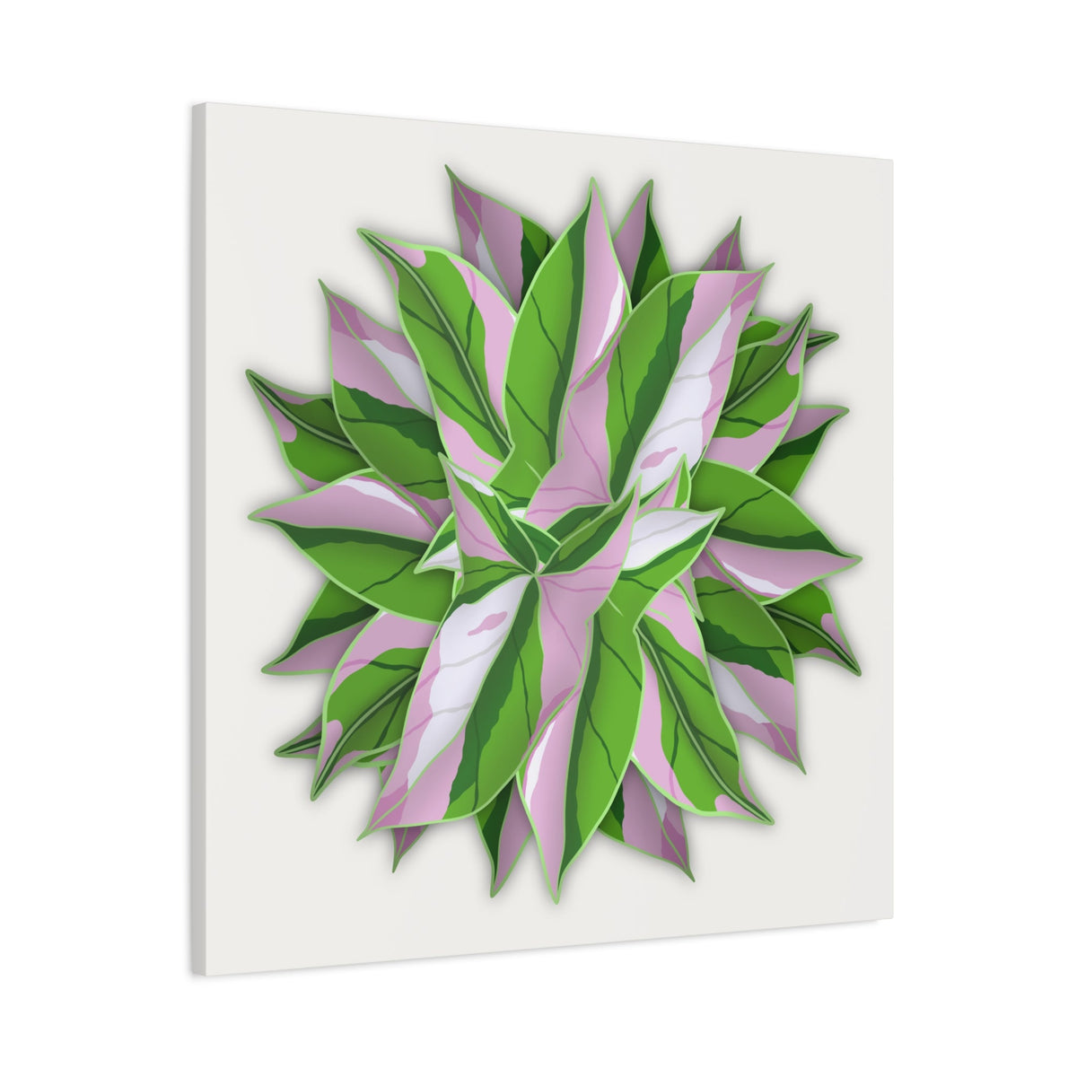 Syngonium Tricolor Pattern Canvas Print – Botanical Wall Art