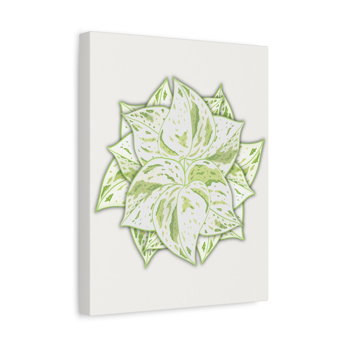 Snow Queen Pothos Canvas Print – Botanical Wall Art