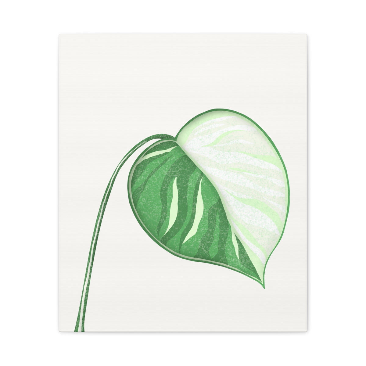 Monstera Albo Canvas Print – Botanical Wall Art, view 11