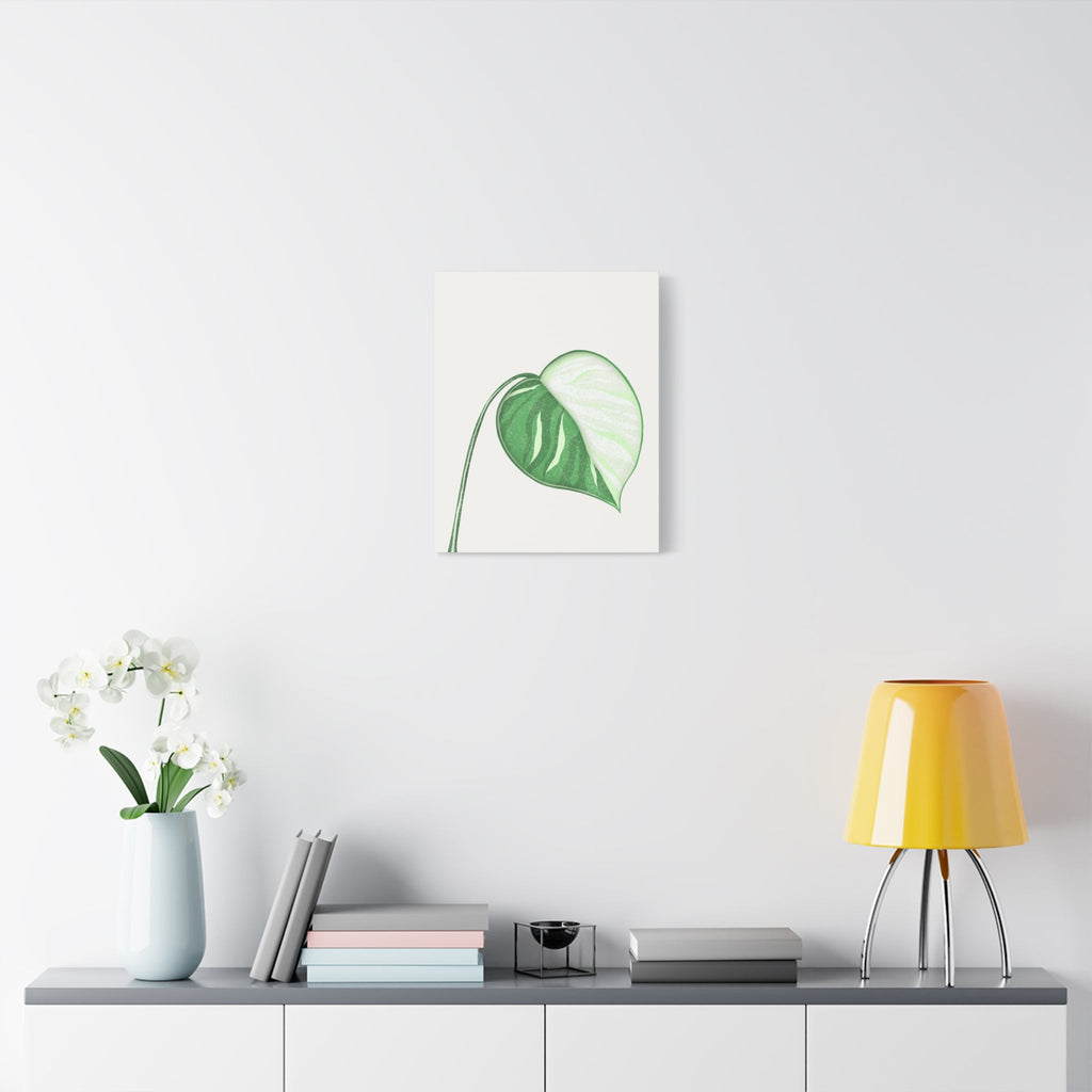Monstera Albo Canvas Print – Botanical Wall Art