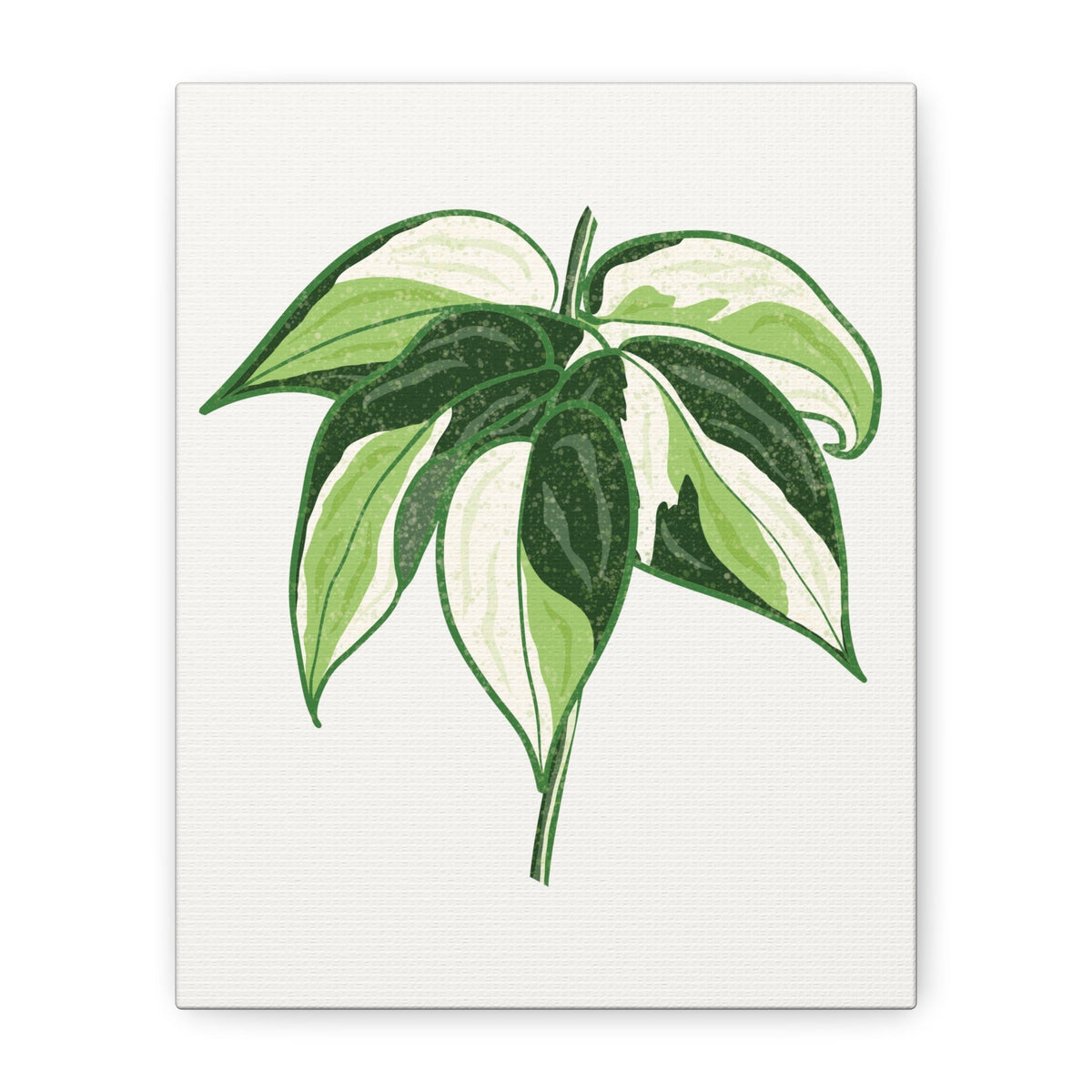 Philodendron Cream Splash Canvas Print – Botanical Wall Art, view 8