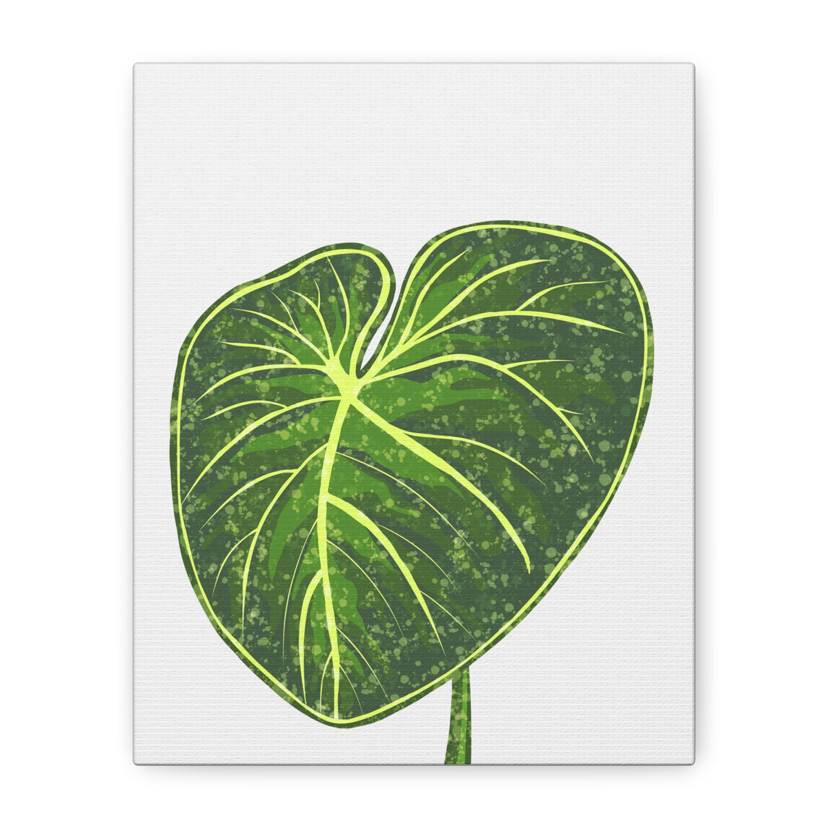 Philodendron Gloriosum Canvas Print – Botanical Wall Art, view 8