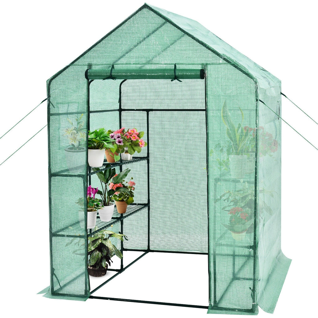 Walk-in Greenhouse 56 x 56 x 77 Inch Gardening with Observation Windows, view 7