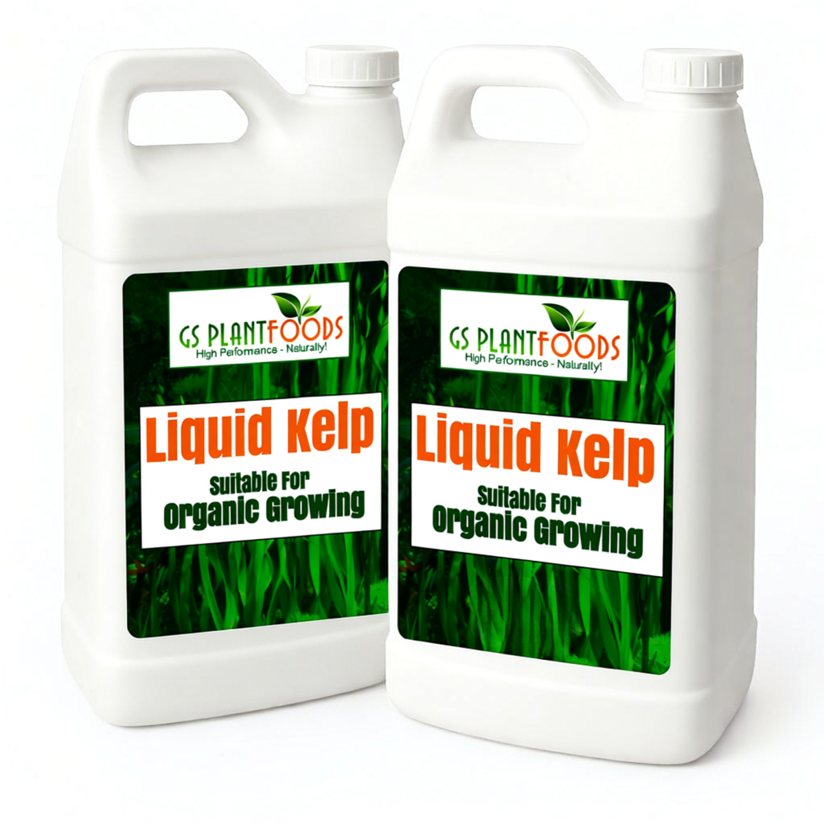 Organic Liquid Kelp Seaweed, view 9