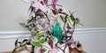 Tall Crystal Plant Watering Spike, view 3