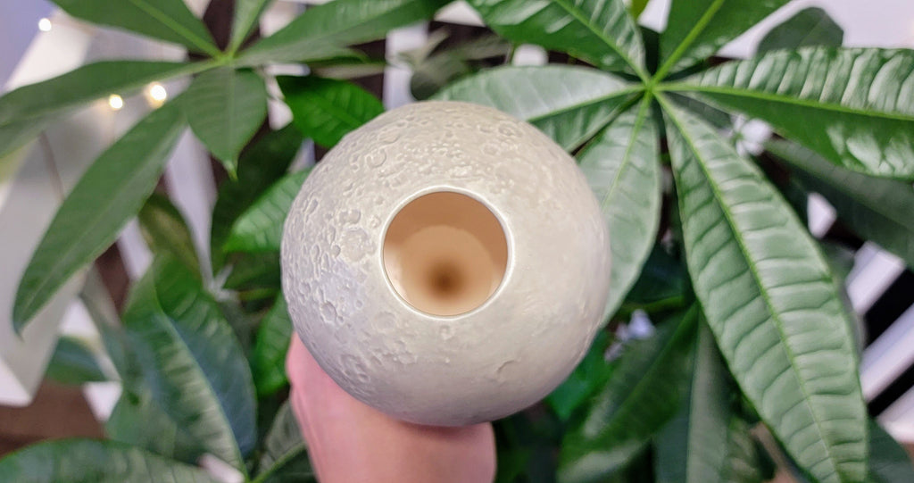 Moon Plant Watering Spike, view 2