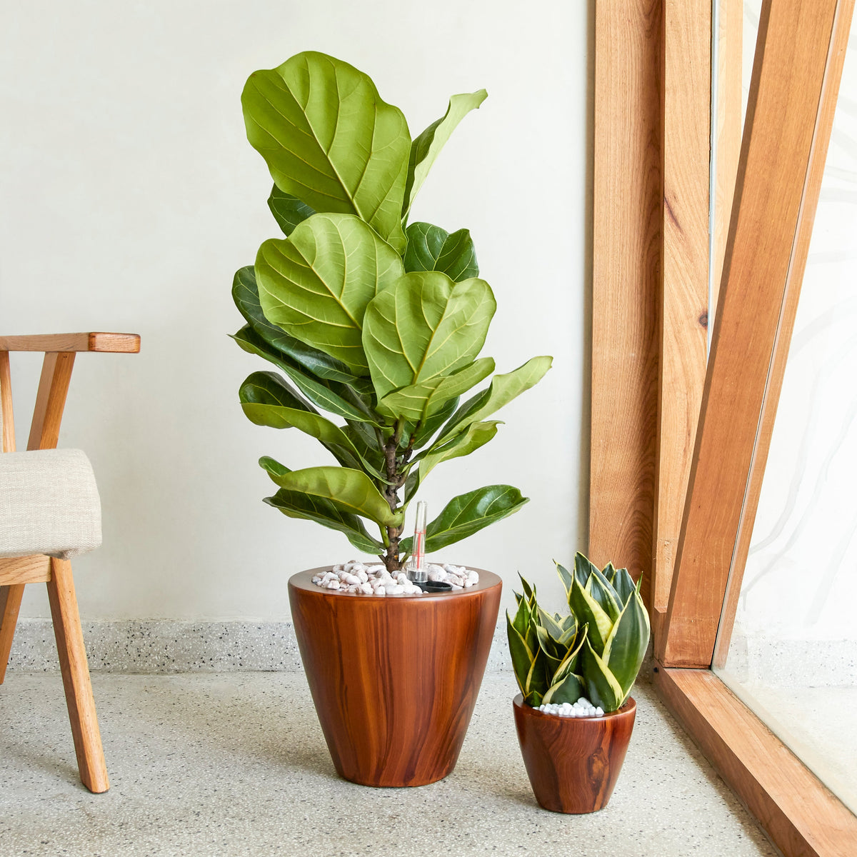 2-Pack 10 in. Dark Wood Plastic Self-Watering Planter Pot, view 3