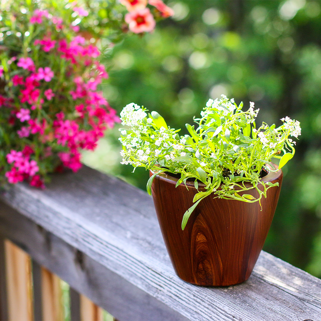 2-Pack 10 in. Dark Wood Plastic Self-Watering Planter Pot, view 4