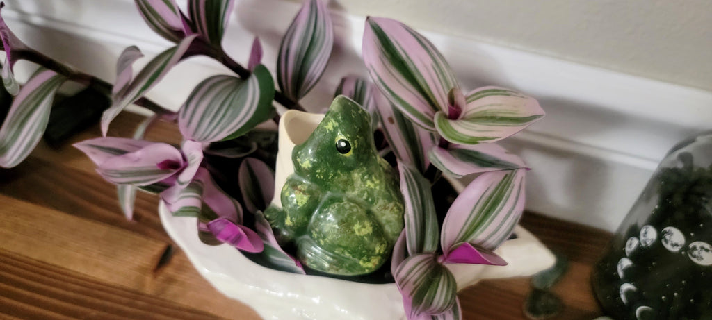 Open-Mouth Frog Plant Watering Spike, view 2