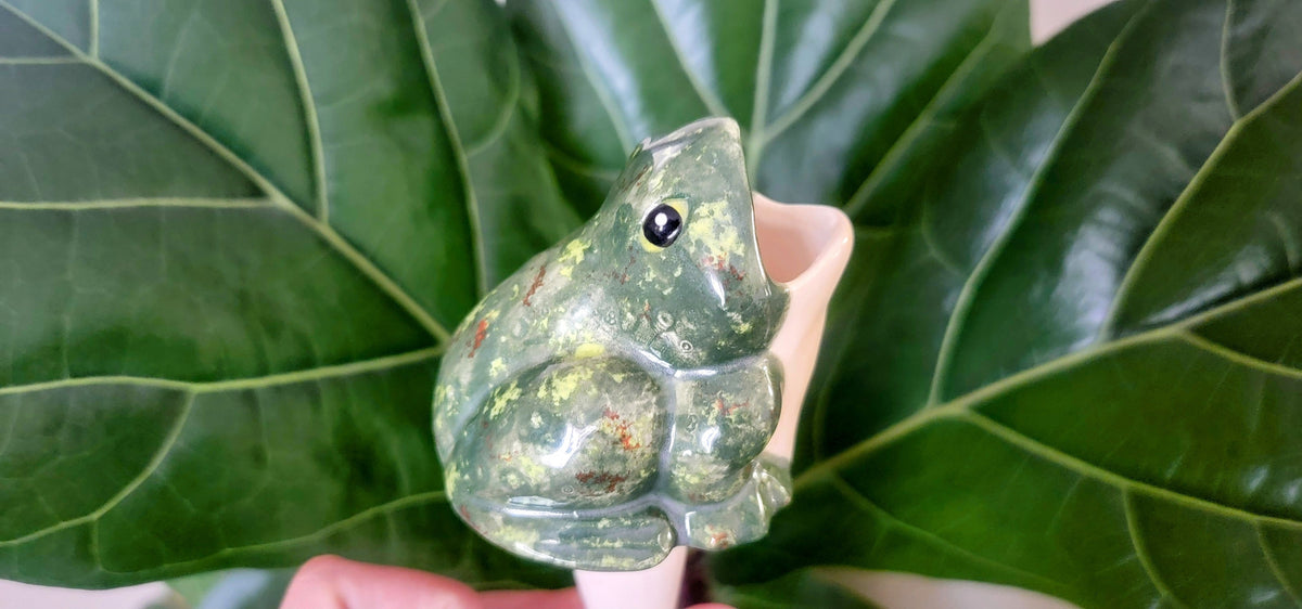 Open-Mouth Frog Plant Watering Spike, view 9