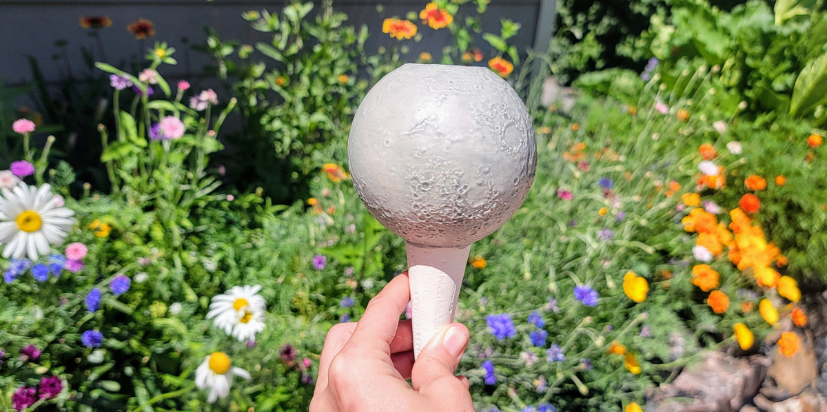 Moon Plant Watering Spike, view 9