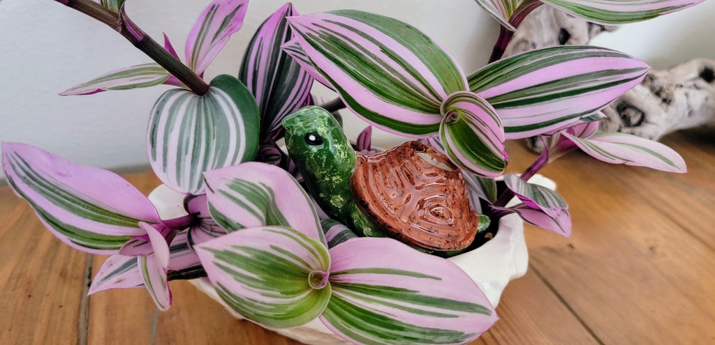 Turtle Plant Watering Spike, view 9